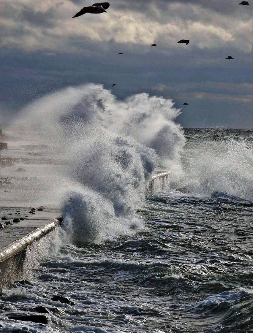 Gdynia. Sztorm. Ostrzeżenie IMGW. 14.01.2023 r.