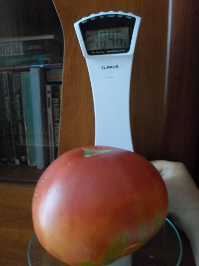 Pomidor z działki Pani Małgorzaty waży dokładnie 1.046 g.