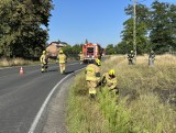 Upał spowodował, że wróciły pożary w okolicach Radomska ZDJĘCIA