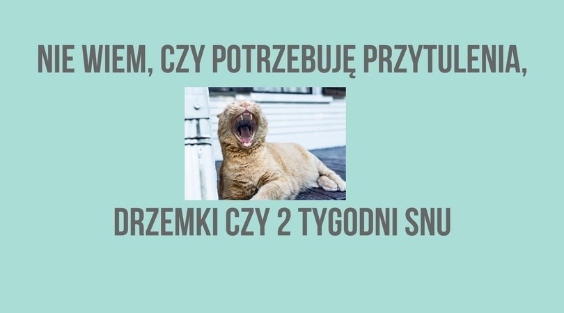 Ironiczne i zabawne cytaty o trudach bycia kobietą. Dajemy sobie z tym radę! Te teksty podsumowują, jak bywamy zmęczone [galeria]