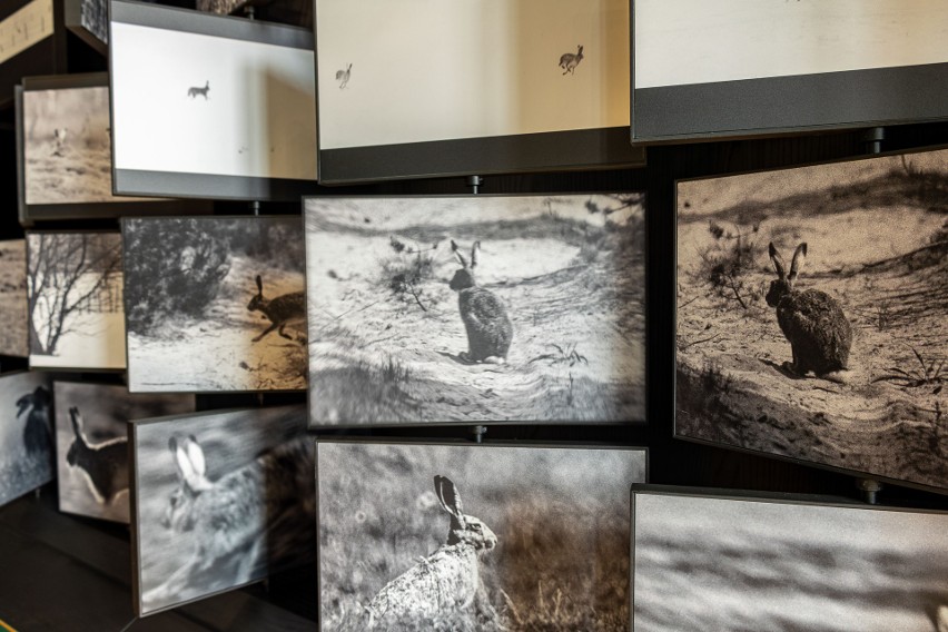 Muzeum Fotografii Wiktora Wołkowa otwiera swoje drzwi dla zwiedzających. Czeka ich podróż w świat magicznych fotografii z duszą