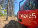 Pożar traw przy torze kolejowym w Toruniu. Na miejscu działały dwa zastępy straży pożarnej
