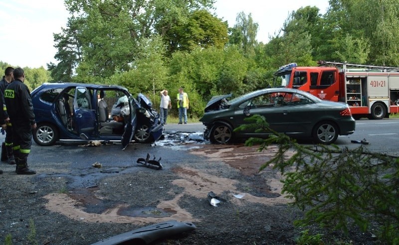 Czołowe zderzenie pod Bełchatowem. Trzy ofiary śmiertelne, w tym 8-letnia dziewczynka