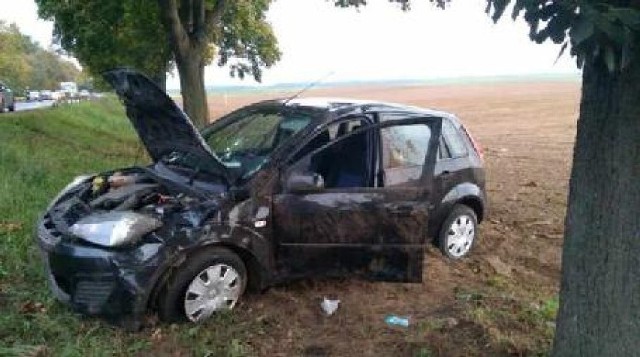 Być może do kolizji mogła przyczynić się pogoda oraz plama oleju. Na odcinku od Gorzynia do Kwilcza sprawdzają to międzychodzcy strażacy.