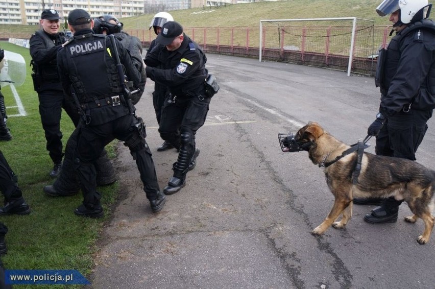 Jastrzębie-Zdrój. Policja vs kibole. Ćwiczenia na stadionie (zdjęcia, wideo)