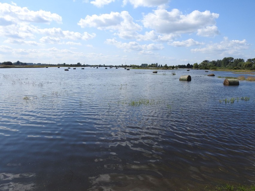 Powódź w gminie Pacanów. Fala kulminacyjna na Kanale Strumień. Ucierpiało 400 gospodarstw