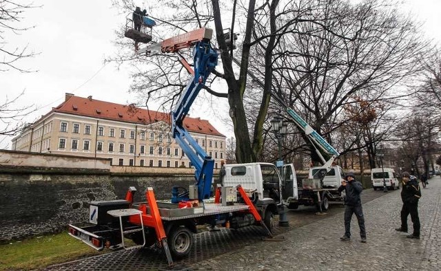 Wysięgniki w alei Pod Kasztanami.