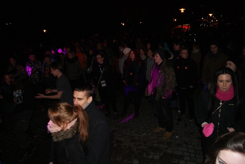 WOŚP 2015 w Rybniku: Energetyczne koncerty na Kampusie