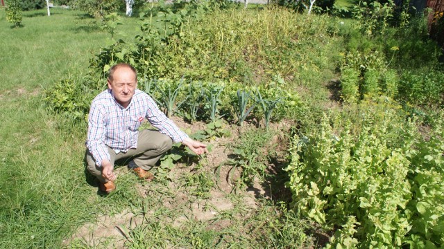 Wiesław Nawrocki pokazuje ogródek zniszczony przez wodę spływającą z zakładowej działki.