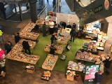 Bielsko-Biała: Charytatywny kiermasz książek już w sobotę w Galerii Sfera. Rusza akcja „Żyjące Książki”