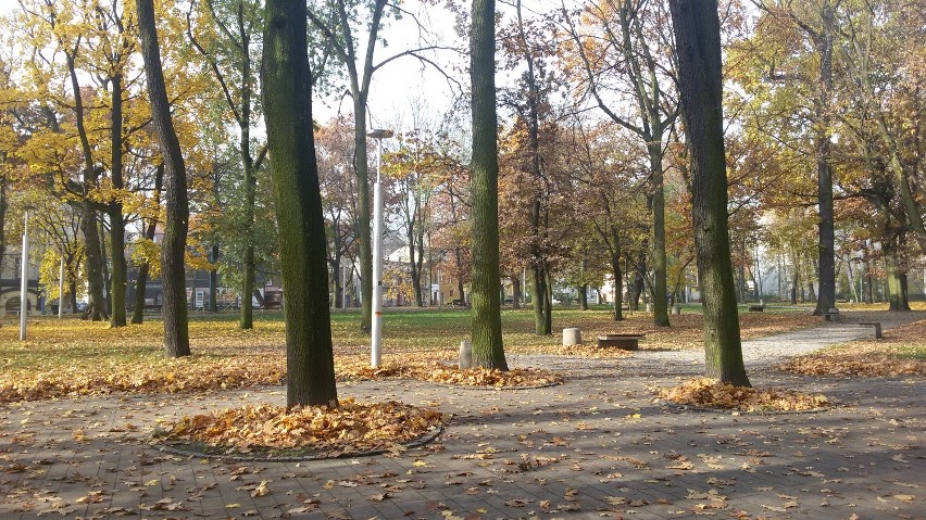 Jesień w Parku Zamkowym w Mysłowicach