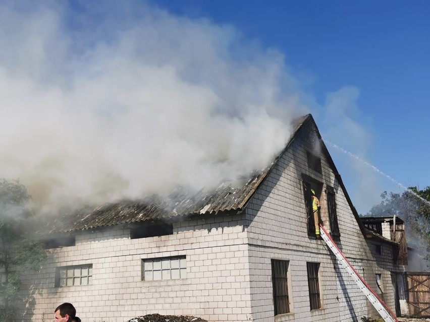 Duży pożar budynku pod Włocławkiem. 11 zastępów walczyło z ogniem [zdjęcia]