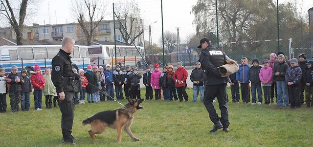Pokaz umiejętności policyjnych psów