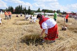 Złota Kosa w Piątkowicach. Pokazali dzieciom, jak się dawniej robiło żniwa [ZDJĘCIA] 