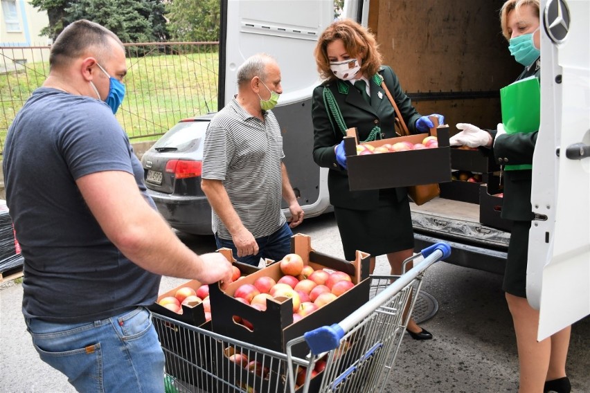 Maseczki i jabłka dla szpitala w Radomiu od myśliwych. Wraz z rodzinami i znajomymi sami szyli maseczki ochronne