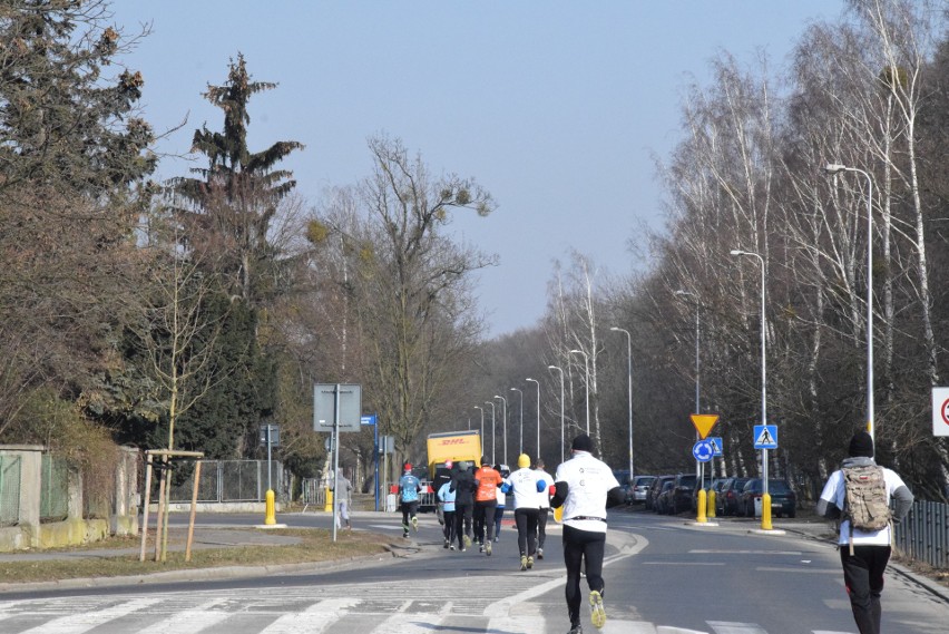 Bieg Tropem Wilczym we Wrocławiu. Uczcili pamięć żołnierzy wyklętych [ZDJĘCIA, WYNIKI]