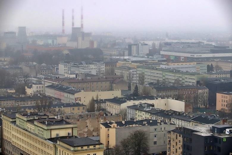 Agnieszka Graszka, zastępca dyrektora wydziału zbywania...