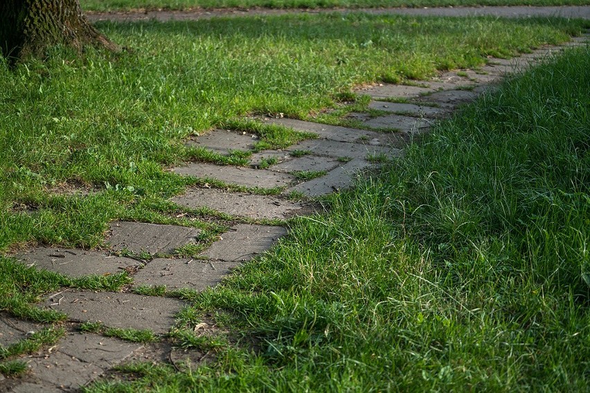 Formalności załatwione, tylko pieniędzy brak