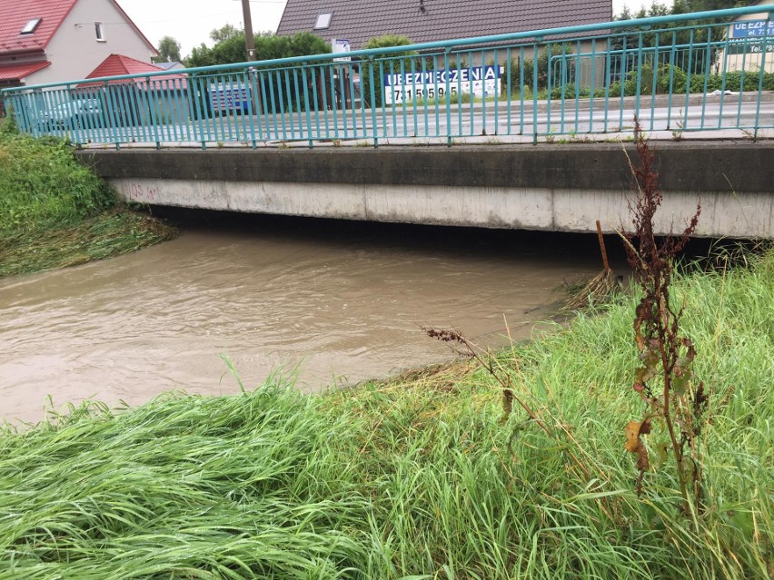 Woda przerwała wał przeciwpowodziowy na rzece Serafie