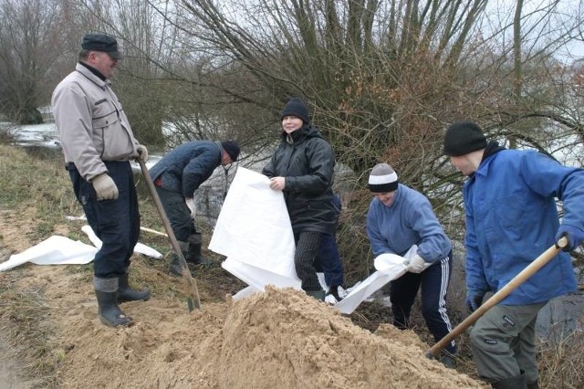 Tak w styczniu zeszłego roku z wielka wodą walczyli mieszkańcy gminy Witnica. Trzeba było łatać jamy, który w wałach wydrążyły bobry.