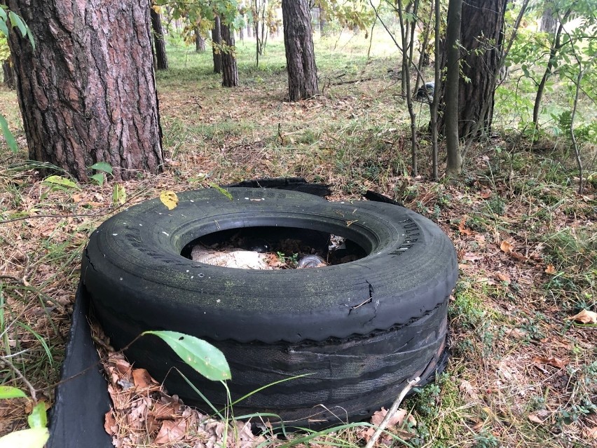 Pojechała do lasu na grzyby, a na jego obrzeżach, tuż przy drodze znalazła... stare opony i mnóstwo innych śmieci [ZDJĘCIA]