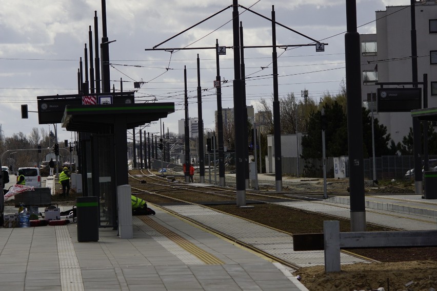 Trasa tramwaju na Naramowice - torowisko i trakcja - jest...