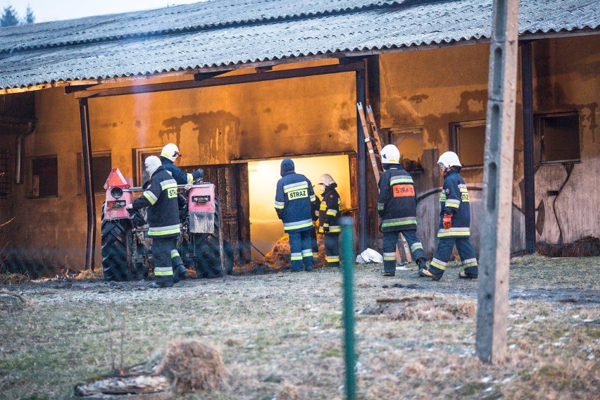 To strażacy ochotnicy podpalili w sobotnią noc budynki w Bystrej? Przesłuchuje ich prokurator [ZDJĘCIA] AKTUALIZACJA