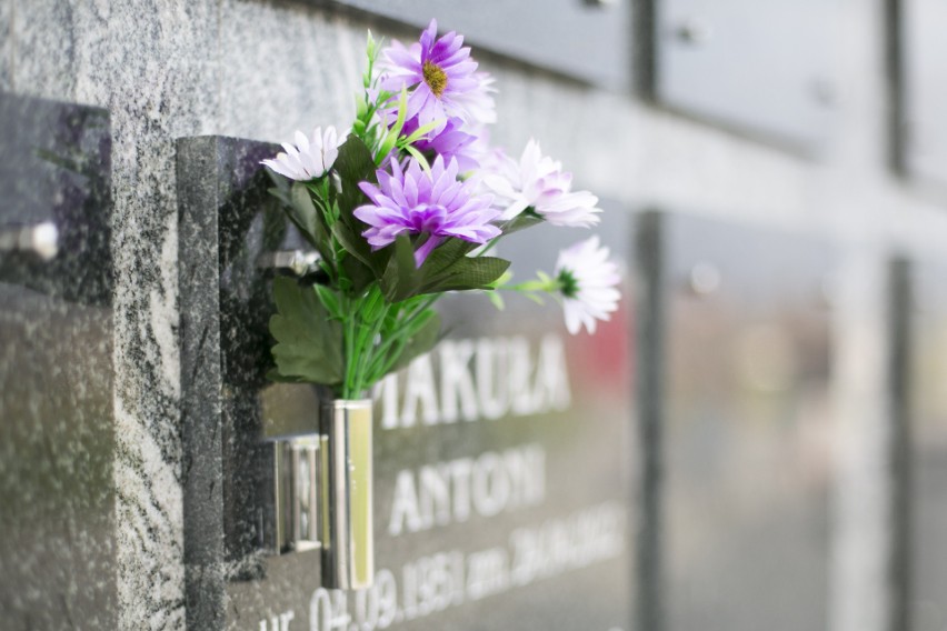 Nowy Cmentarz w Słupsku. Wolontariusze kwestują na rzecz...