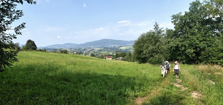 Odkryj Beskid Wyspowy. 28 lipca Kostrza - marsz na zielonego wieloryba [ZDJĘCIA]