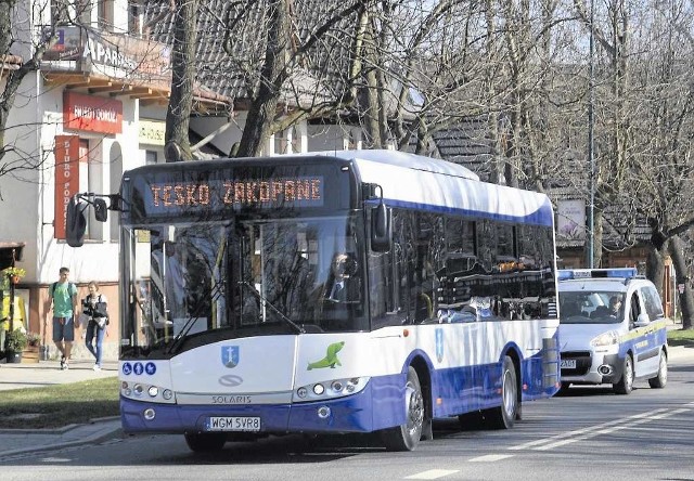 Miejskie autobusy są solą w oku prywatnych przewoźników