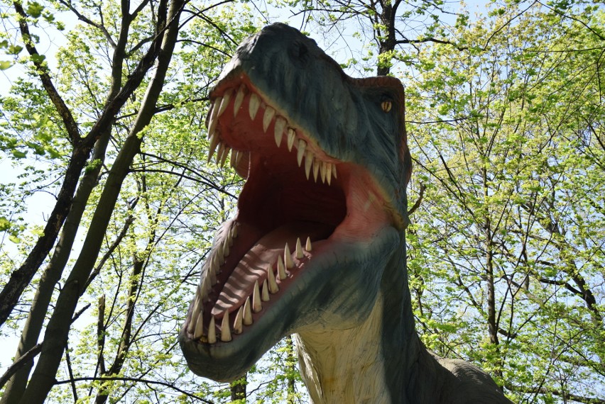 Z zimowego snu obudziły się dinozaury w Zatorlandzie. Dołączył do nich największy jaki żył i jaki wybudowano na świecie [ZDJĘCIA, WIDEO] 