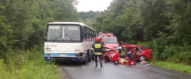 Do wypadku doszło na trasie Ustjanowa - Solina.