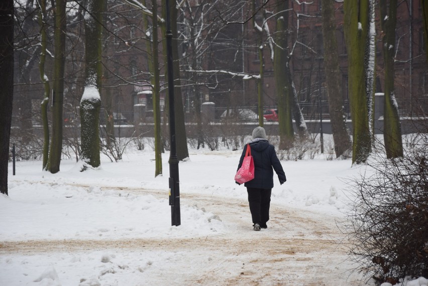 Styczeń 2019 w Siemianowicach Ślaskich