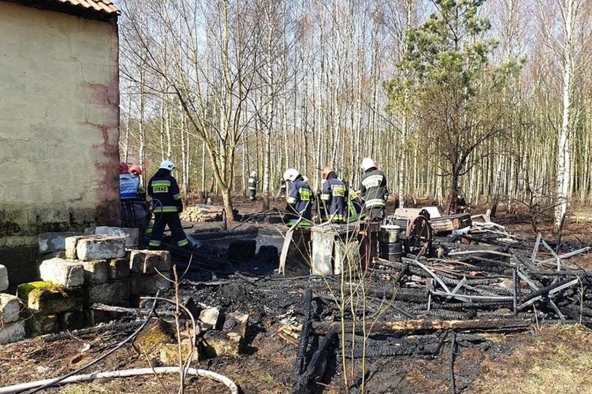 Pożar w Niepoczołowicach w powiecie wejherowskim (6.04.2019). Wójt do strażaków: brawo Wy! [ZDJĘCIA] 