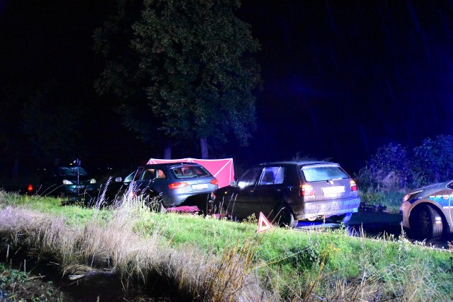 Pomiędzy Piskorzowem, a Pieszycami (pow. dzierżoniowski) na Dolnym Śląsku doszło do śmiertelnego potrącenia rowerzysty.