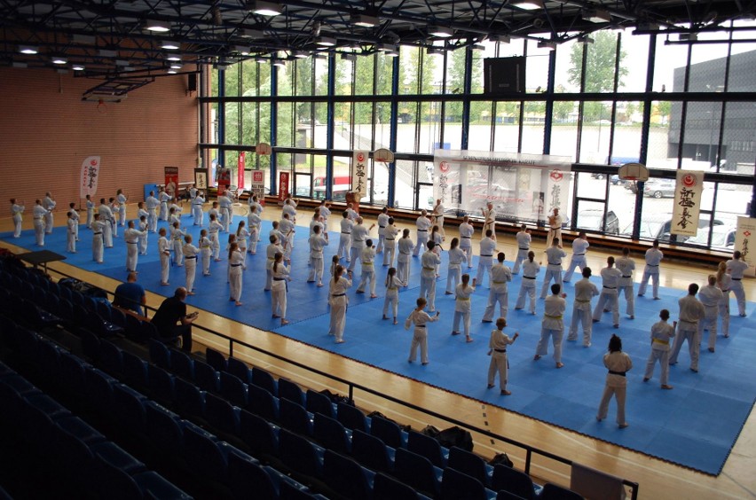 Seminarium karate w Spodku. Ponad 80 uczestników ZDJĘCIA