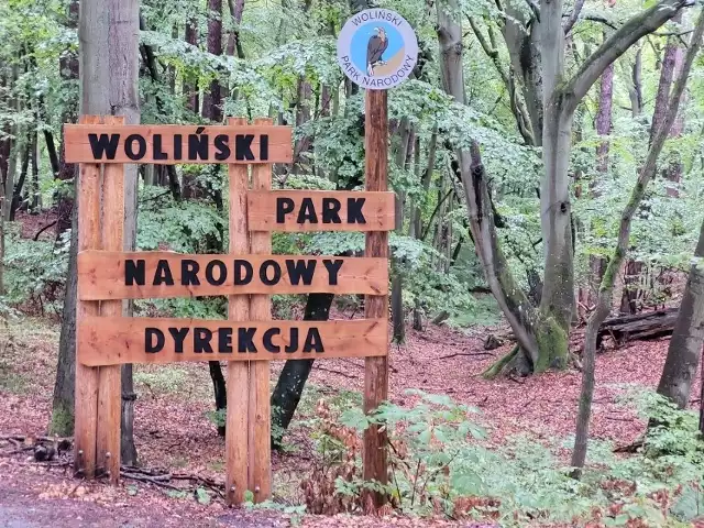 Płatne wejście do Wolińskiego Parku Narodowego obowiązuje od 4 października