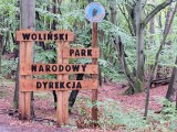 Wstęp do Wolińskiego Parku Narodowego od miesiąca jest płatny. Jak zareagowali turyści?