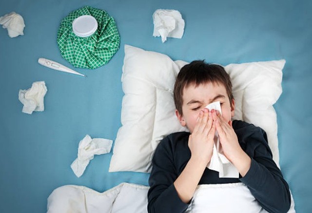 Wśród alergenów wziewnych najczęściej uczulającym czynnikiem są roztocza, które znajdują się w kurzu domowym