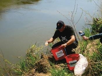 Wpuszczanie narybku wymagało wielkiej ostrożności Fot. Jan Matoga