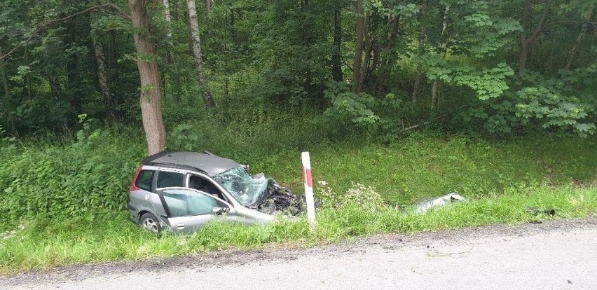 Śmiertelny wypadek na dk. 91 w miejscowości Księże Włóki...