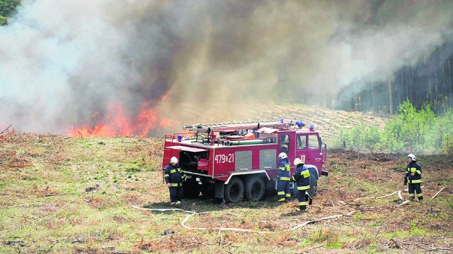 W ubiegłym roku na terenie RDLP w Toruniu wybuchło 146 pożarów, łącznie spłonęło 12 hektarów lasu