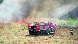 Strażacy w gotowości. Spore zagrożenie pożarowe