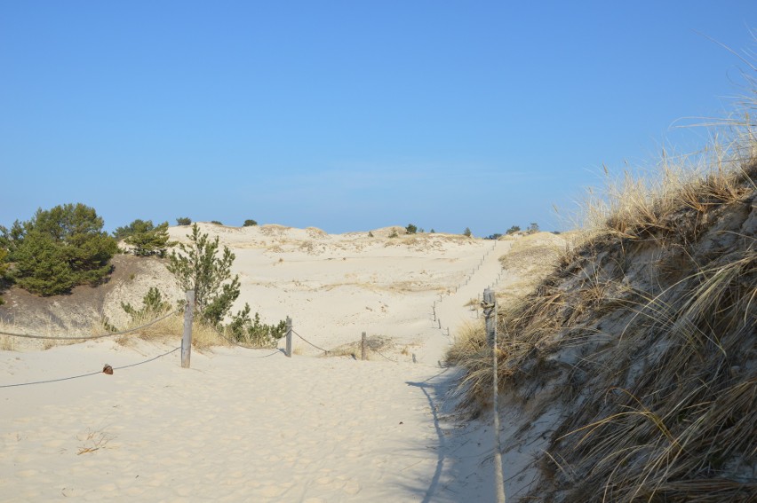 Wielkanocny spacer na Wydmę Czołpińską. Sahara w Słowińskim...