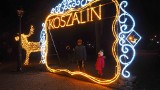 Świąteczne iluminacje w koszalińskim parku [NOWE ZDJĘCIA]