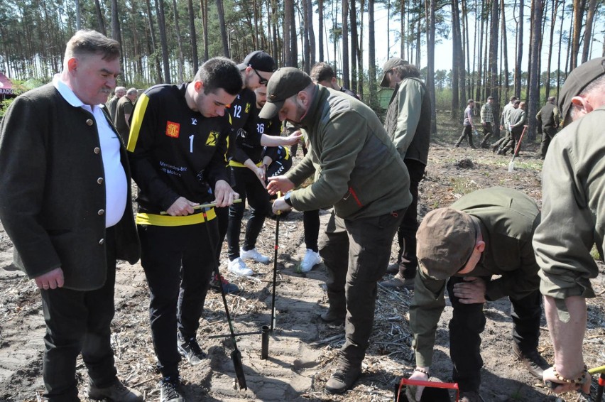 Piłkarze ręczni KSSPR Końskie... sadzili drzewa [ZDJĘCIA]