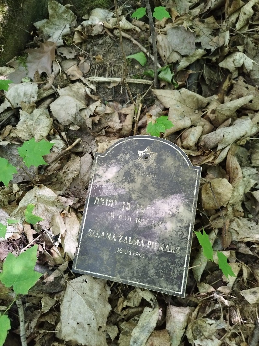 Teren dawnego cmentarza żydowskiego w Działoszycach, który...