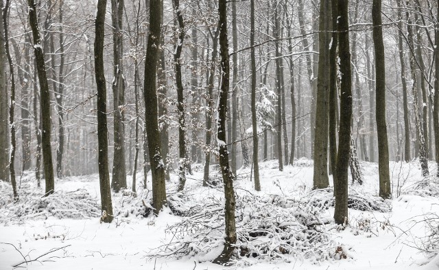 Piękna zima w Przylasku koło Rzeszowa. Zobacz zdjęcia naszego fotoreportera!
