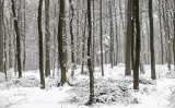 Piękna zima w Przylasku koło Rzeszowa. Zobacz niezwykłe zdjęcia [FOTO]