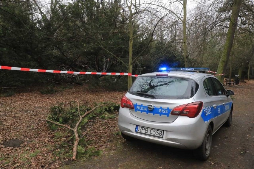 Wrocław: Śmierć w parku Szczytnickim. Człowiek spłonął w zaroślach